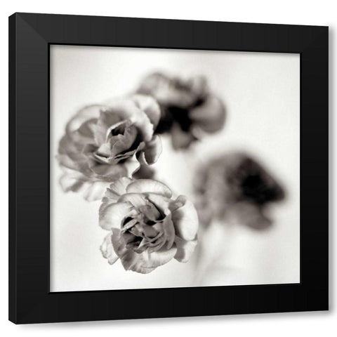 Florison - 39 Black Modern Wood Framed Art Print by Blaustein, Alan