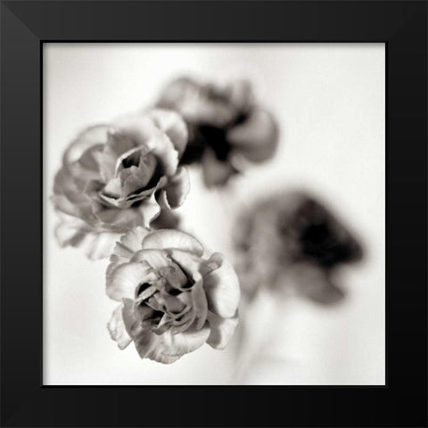 Florison - 39 Black Modern Wood Framed Art Print by Blaustein, Alan