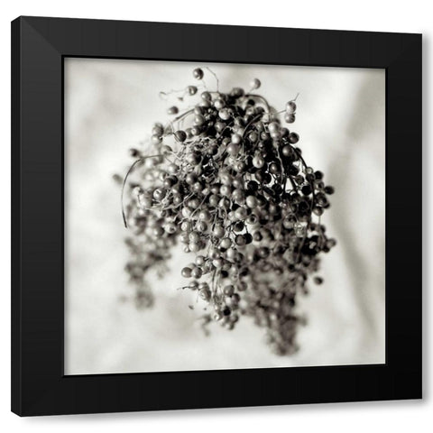 Florison - 38 Black Modern Wood Framed Art Print by Blaustein, Alan