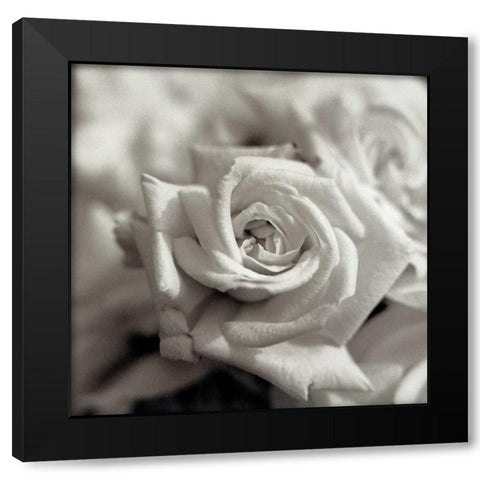 Florison - 30 Black Modern Wood Framed Art Print by Blaustein, Alan