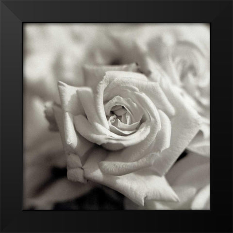 Florison - 30 Black Modern Wood Framed Art Print by Blaustein, Alan