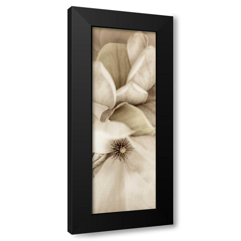 Florison - 70 Black Modern Wood Framed Art Print by Blaustein, Alan