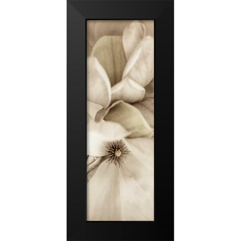 Florison - 70 Black Modern Wood Framed Art Print by Blaustein, Alan