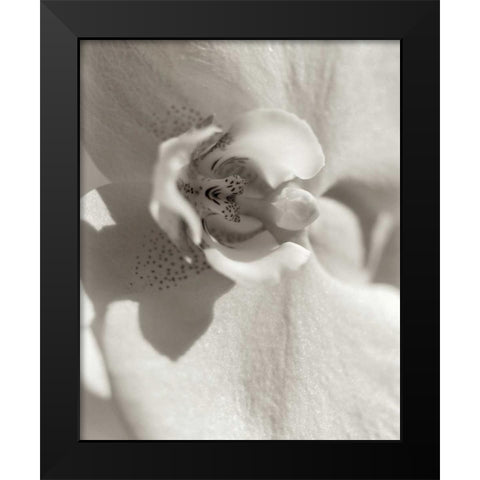 Florison - 8 Black Modern Wood Framed Art Print by Blaustein, Alan
