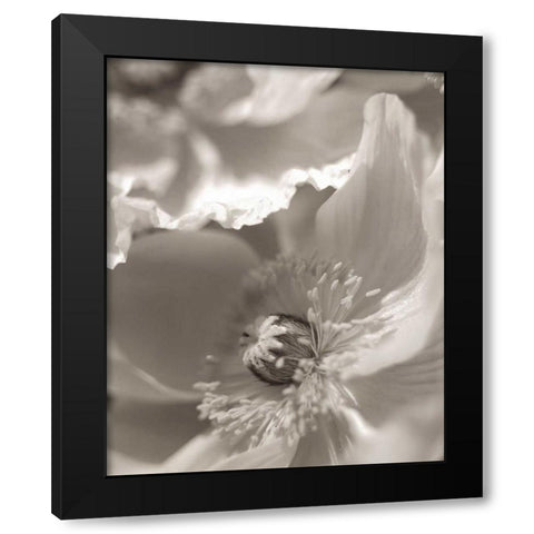 Florison - 7 Black Modern Wood Framed Art Print by Blaustein, Alan