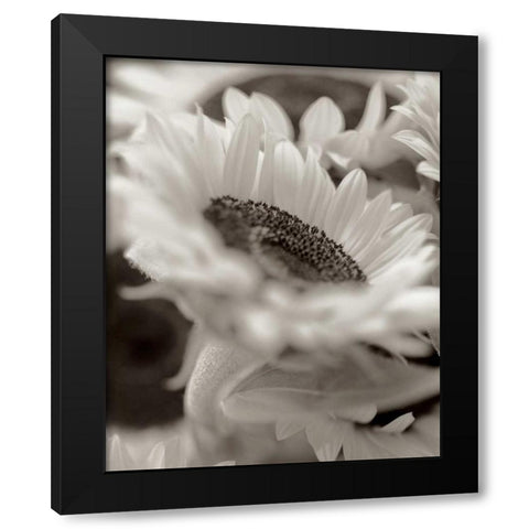 Florison - 3 Black Modern Wood Framed Art Print by Blaustein, Alan