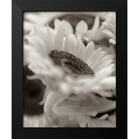 Florison - 3 Black Modern Wood Framed Art Print by Blaustein, Alan