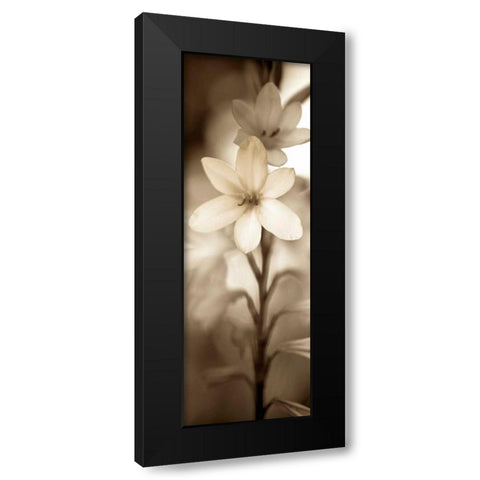 Florison - 71 Black Modern Wood Framed Art Print by Blaustein, Alan
