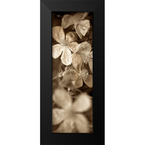 Florison - 69 Black Modern Wood Framed Art Print by Blaustein, Alan