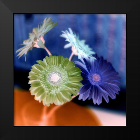 Floral Color - 3 Black Modern Wood Framed Art Print by Blaustein, Alan