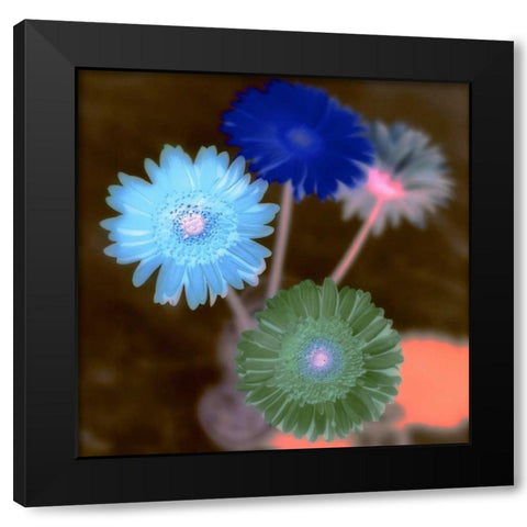 Floral Color - 4 Black Modern Wood Framed Art Print with Double Matting by Blaustein, Alan