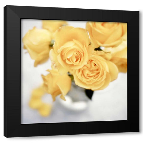Floral Color - 21 Black Modern Wood Framed Art Print with Double Matting by Blaustein, Alan