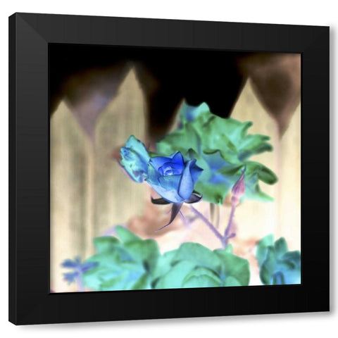 Floral Color - 7 Black Modern Wood Framed Art Print with Double Matting by Blaustein, Alan