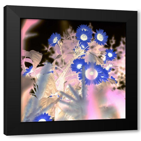 Floral Color - 8 Black Modern Wood Framed Art Print with Double Matting by Blaustein, Alan