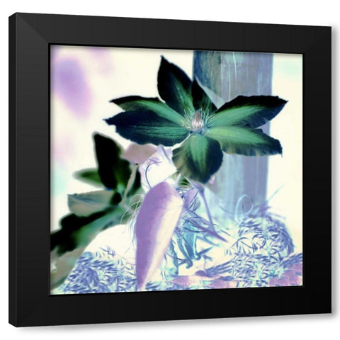 Floral Color - 10 Black Modern Wood Framed Art Print with Double Matting by Blaustein, Alan