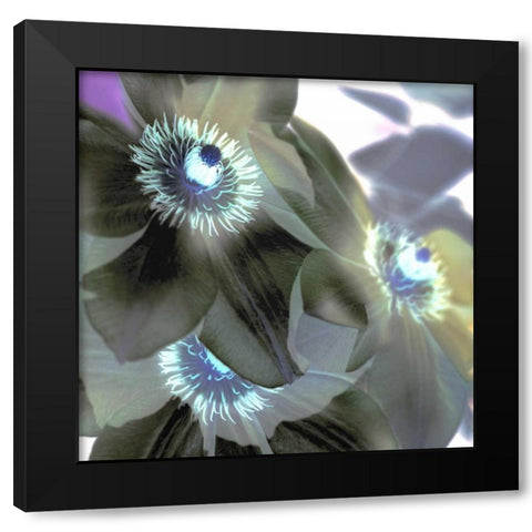 Floral Color - 14 Black Modern Wood Framed Art Print with Double Matting by Blaustein, Alan
