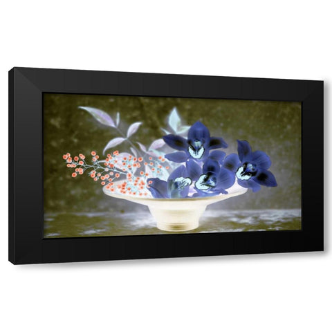 Floral Color - 18 Black Modern Wood Framed Art Print with Double Matting by Blaustein, Alan