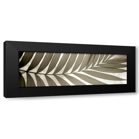 Florison - 98 Black Modern Wood Framed Art Print with Double Matting by Blaustein, Alan