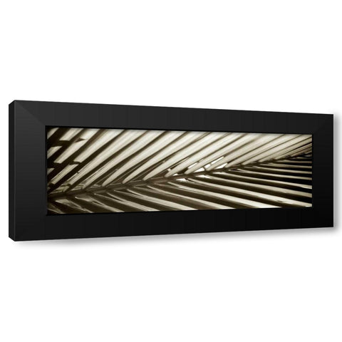 Florison - 100 Black Modern Wood Framed Art Print by Blaustein, Alan