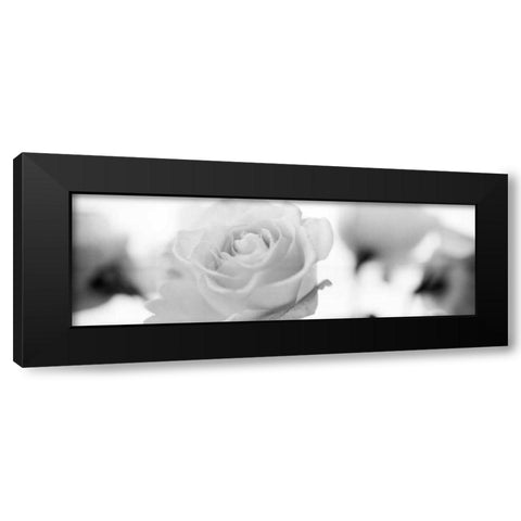 Florison - 102 Black Modern Wood Framed Art Print by Blaustein, Alan