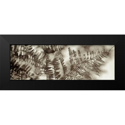 Florison - 101 Black Modern Wood Framed Art Print by Blaustein, Alan