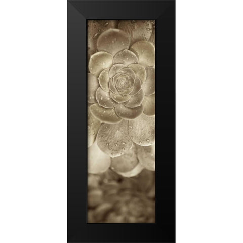 Florison - 91 Black Modern Wood Framed Art Print by Blaustein, Alan