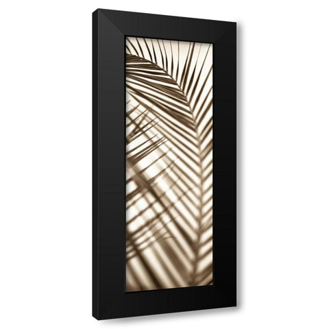 Florison - 72 Black Modern Wood Framed Art Print with Double Matting by Blaustein, Alan