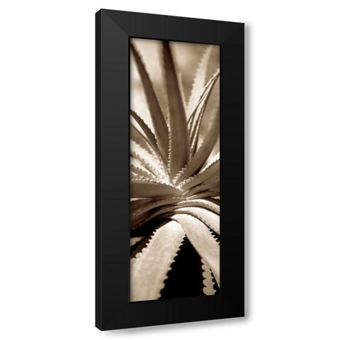 Florison - 77 Black Modern Wood Framed Art Print with Double Matting by Blaustein, Alan