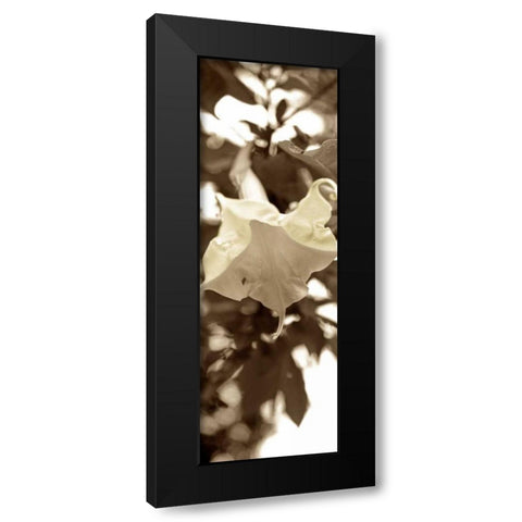 Florison - 78 Black Modern Wood Framed Art Print with Double Matting by Blaustein, Alan
