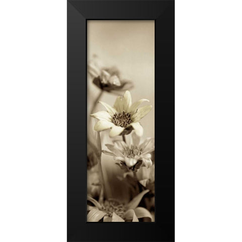 Florison - 79 Black Modern Wood Framed Art Print by Blaustein, Alan