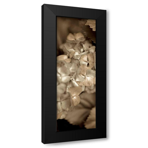 Florison - 90 Black Modern Wood Framed Art Print with Double Matting by Blaustein, Alan