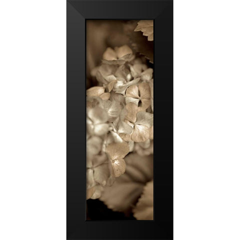 Florison - 90 Black Modern Wood Framed Art Print by Blaustein, Alan