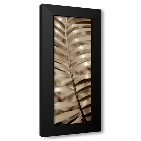 Florison - 92 Black Modern Wood Framed Art Print with Double Matting by Blaustein, Alan