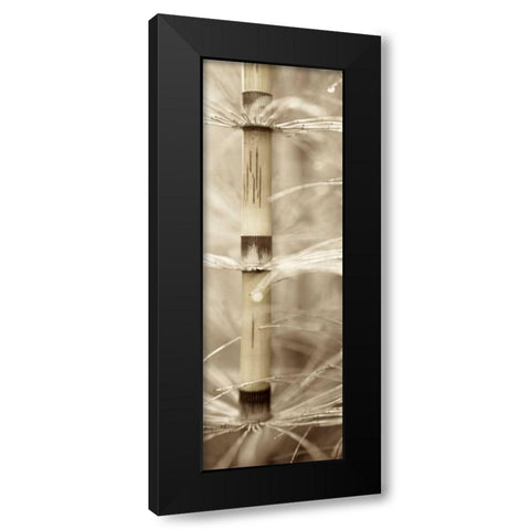 Florison - 93 Black Modern Wood Framed Art Print by Blaustein, Alan