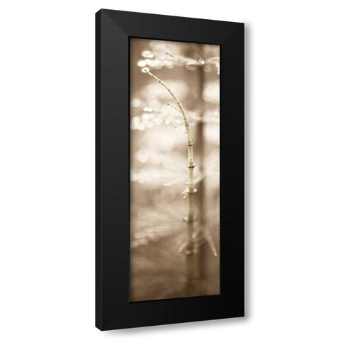 Florison - 94 Black Modern Wood Framed Art Print with Double Matting by Blaustein, Alan