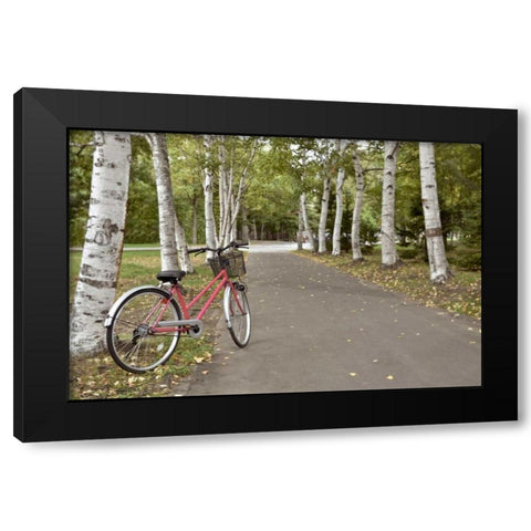 Japan Bicycle - 18 Black Modern Wood Framed Art Print by Blaustein, Alan