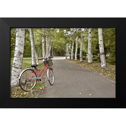 Japan Bicycle - 18 Black Modern Wood Framed Art Print by Blaustein, Alan