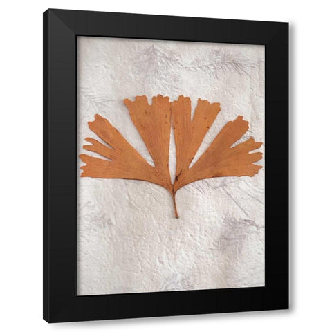 Floral - 30 Black Modern Wood Framed Art Print with Double Matting by Blaustein, Alan