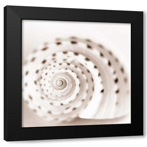 Atlantis 1 Black Modern Wood Framed Art Print with Double Matting by Blaustein, Alan