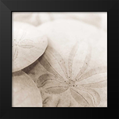 Atlantis 2 Black Modern Wood Framed Art Print by Blaustein, Alan