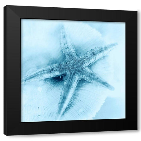 Nautica No1 Black Modern Wood Framed Art Print with Double Matting by Blaustein, Alan