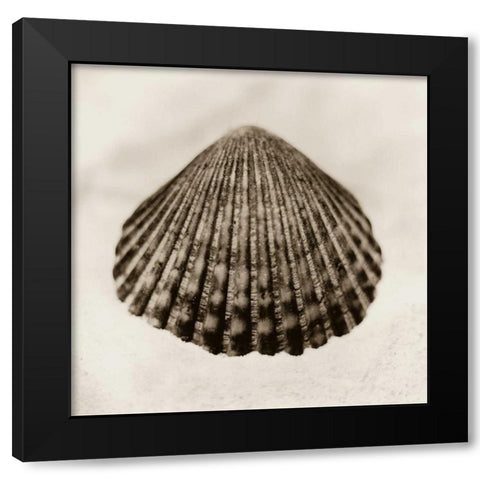 La Playa No1 Black Modern Wood Framed Art Print by Blaustein, Alan
