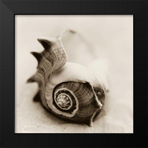 La Playa No2 Black Modern Wood Framed Art Print by Blaustein, Alan