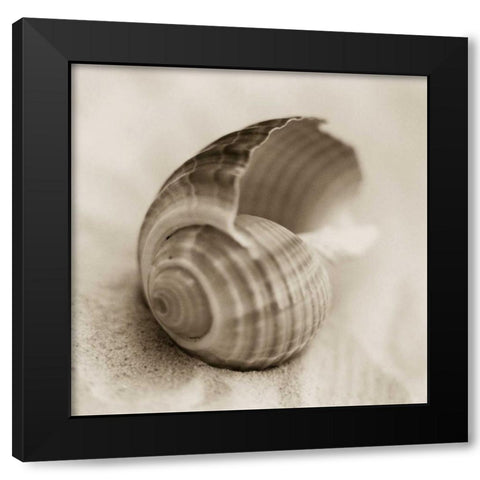 La Playa No3 Black Modern Wood Framed Art Print with Double Matting by Blaustein, Alan