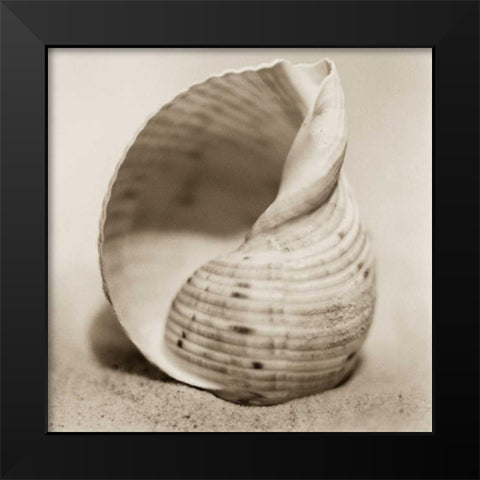 La Playa No4 Black Modern Wood Framed Art Print by Blaustein, Alan