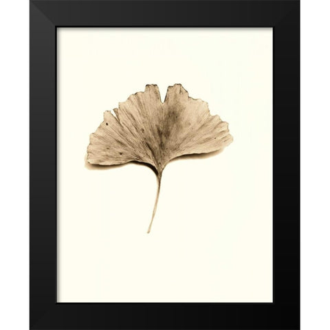 Ginkgo Leaf Black Modern Wood Framed Art Print by Blaustein, Alan