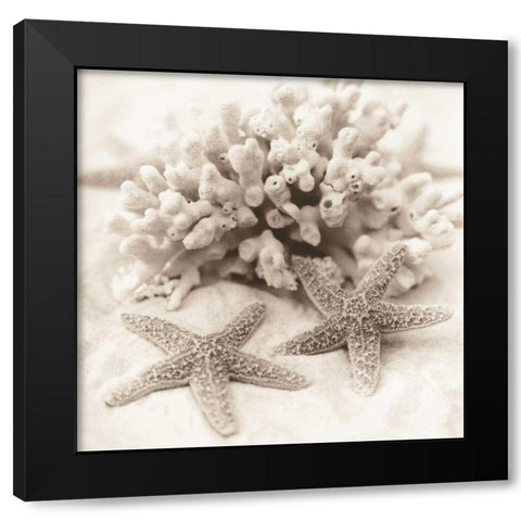 La Mer 1 Black Modern Wood Framed Art Print with Double Matting by Blaustein, Alan