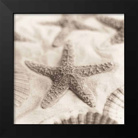 La Mer 2 Black Modern Wood Framed Art Print by Blaustein, Alan