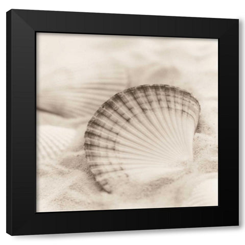 La Mer 3 Black Modern Wood Framed Art Print with Double Matting by Blaustein, Alan
