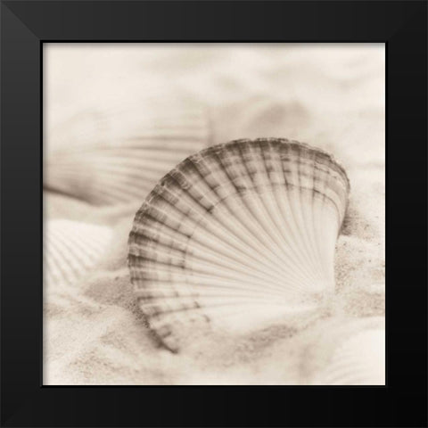 La Mer 3 Black Modern Wood Framed Art Print by Blaustein, Alan